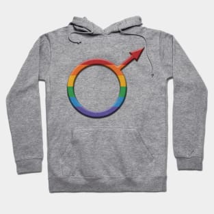 Rainbow Colored Round Gay Pride Male Gender Symbol Hoodie